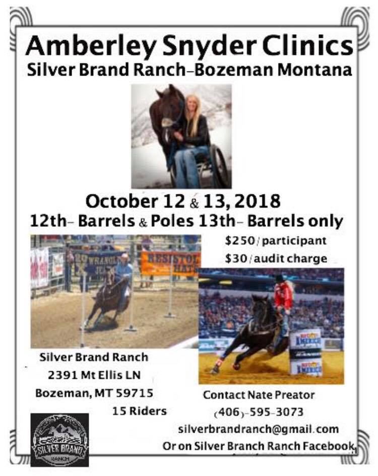 Amberley Snyder Clinics